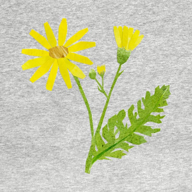 Ragwort / Cushag by Babban Gaelg